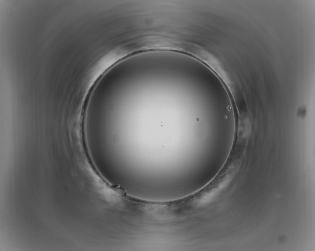X0000096700909200802051408