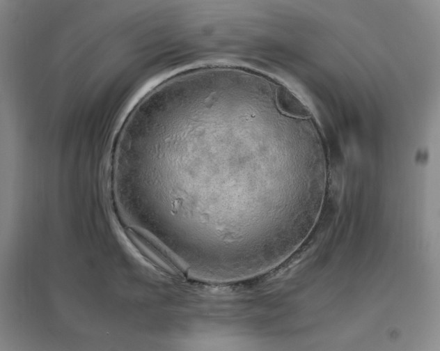 X0000096700911200802051408