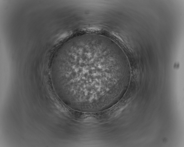 X0000096700913200802051407