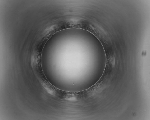 X0000096700914200802051407
