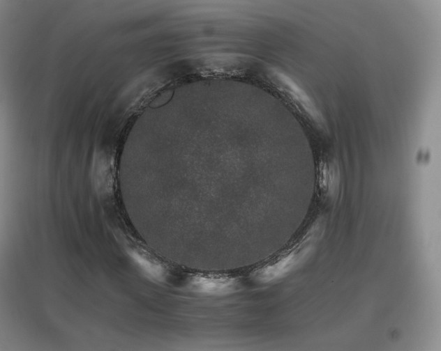 X0000096700915200802051407