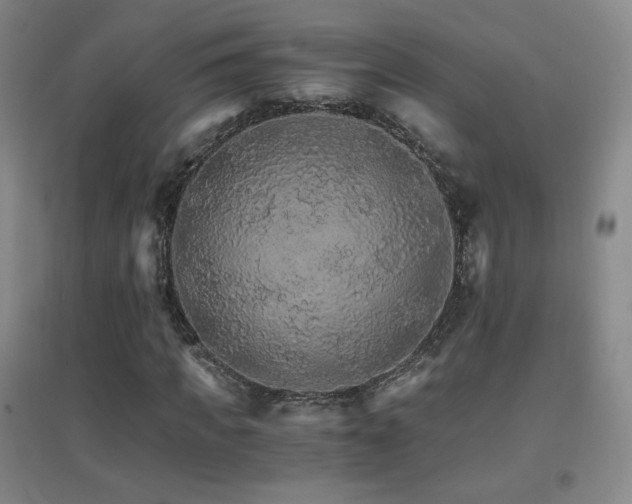 X0000096700917200802051407