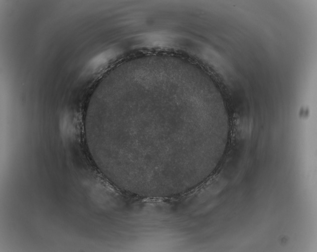 X0000096700918200802051407