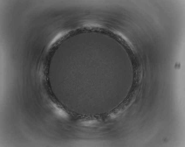 X0000096700919200802051407