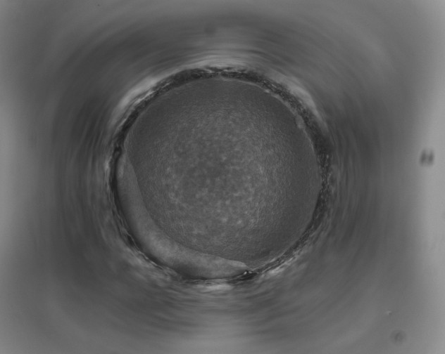 X0000096700920200802051407