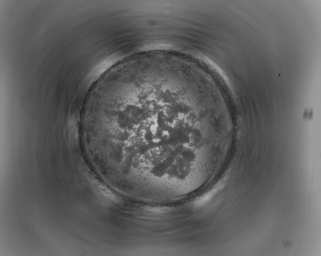 X0000096700921200802051407