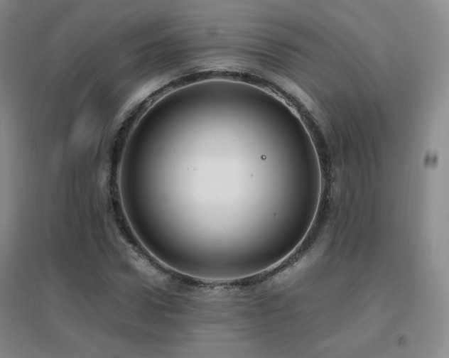 X0000096700922200802051407