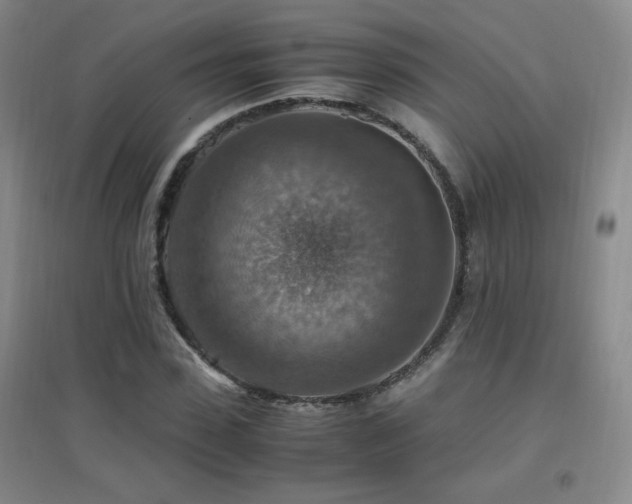 X0000096700923200802051407
