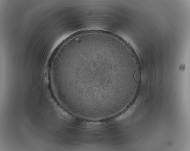 X0000096700925200802051407