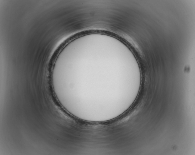 X0000096700926200802051407