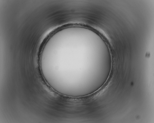X0000096700927200802051407