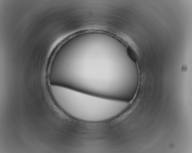 X0000096700928200802051407