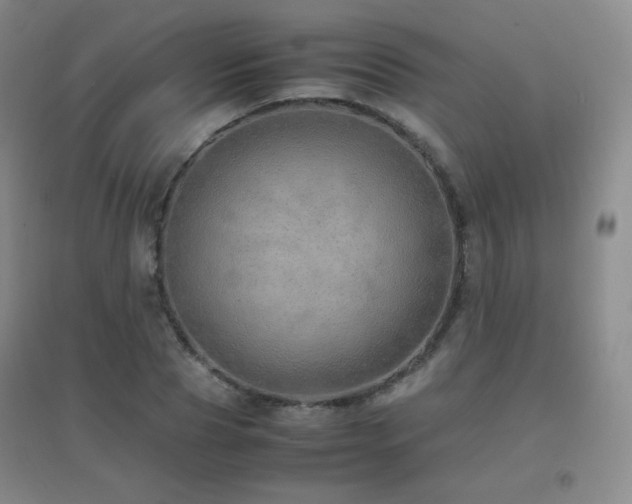 X0000096700929200802051407