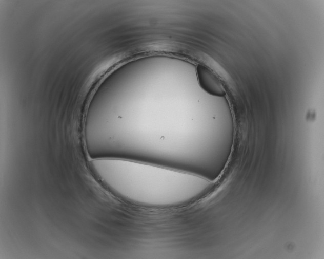 X0000096700930200802051407