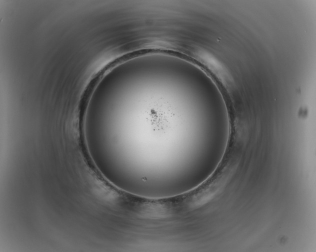 X0000096700931200802051407