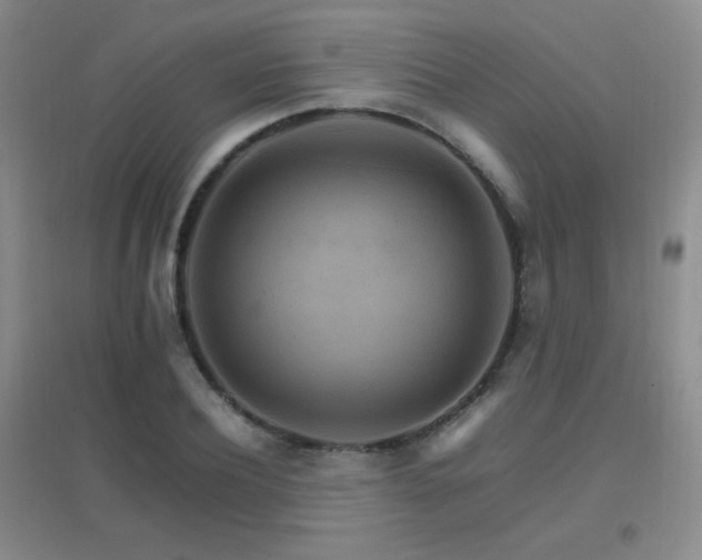 X0000096700932200802051407