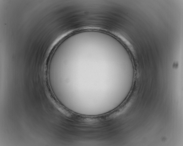 X0000096700933200802051407