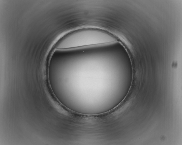 X0000096700934200802051407