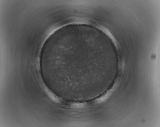 X0000096700935200802051407