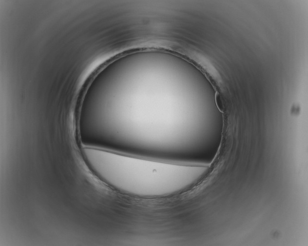X0000096700936200802051407