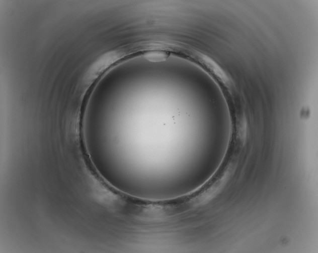 X0000096700938200802051407