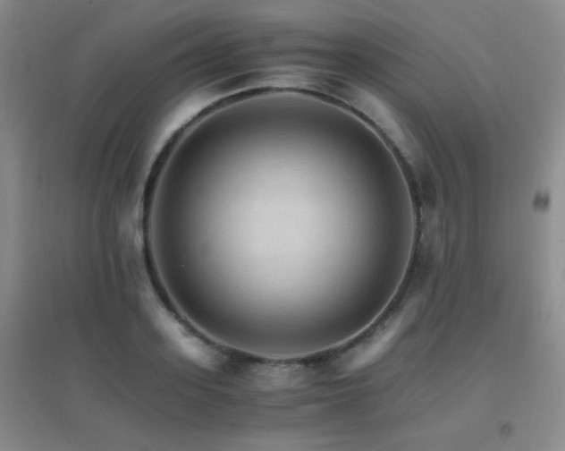X0000096700939200802051407