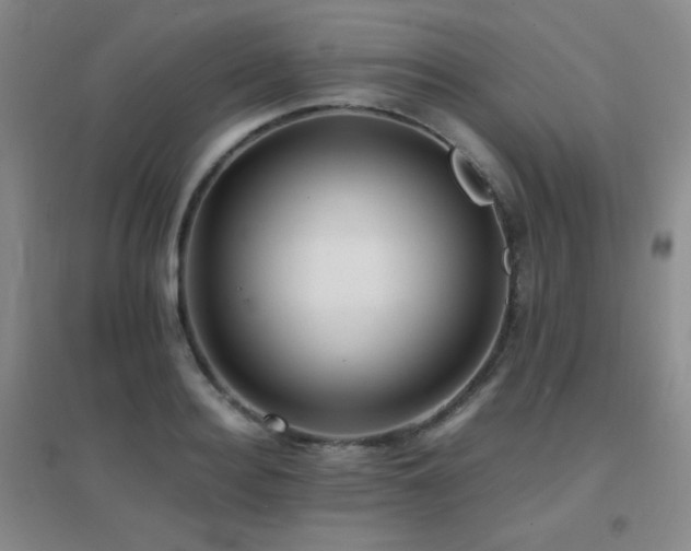 X0000096700940200802051407