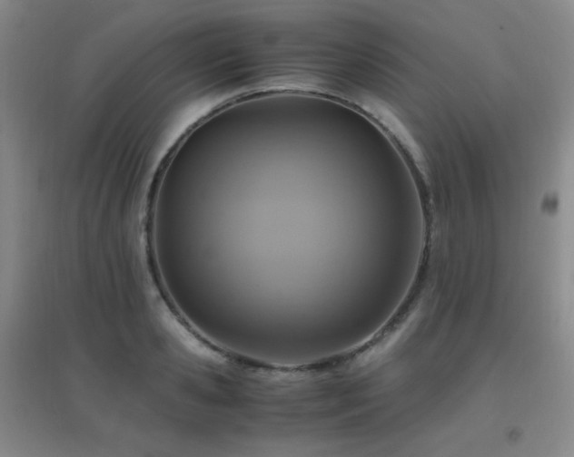 X0000096700941200802051407