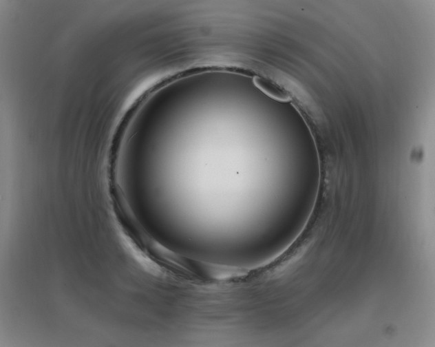 X0000096700942200802051407