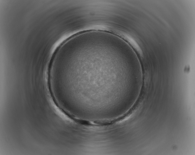 X0000096700944200802051407