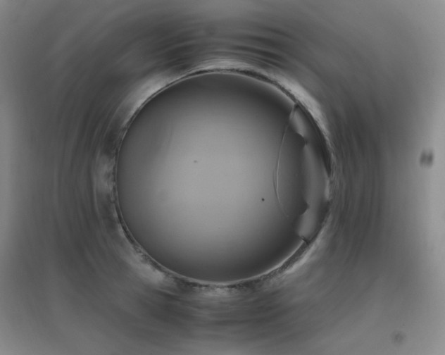 X0000096700945200802051407