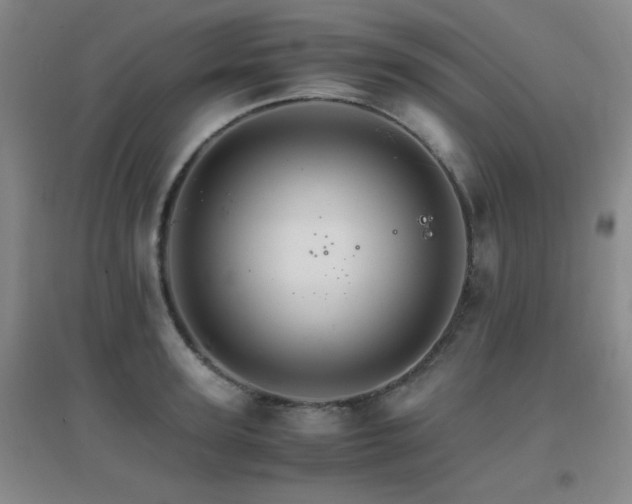 X0000096700947200802051408