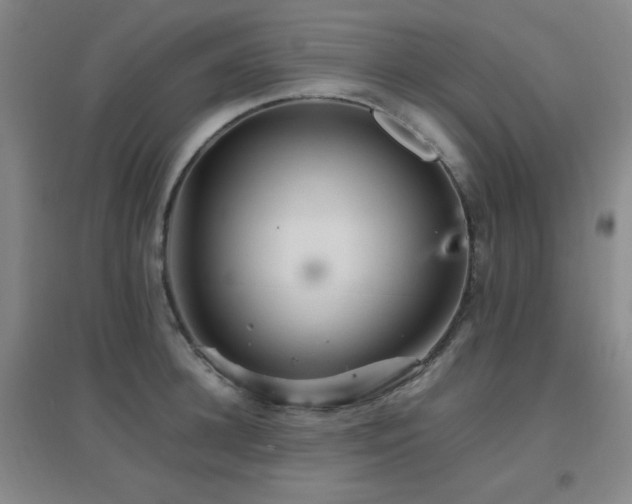 X0000096700948200802051408