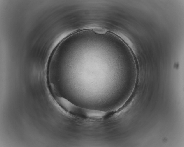 X0000096700949200802051408