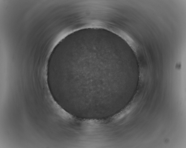 X0000096700950200802051408
