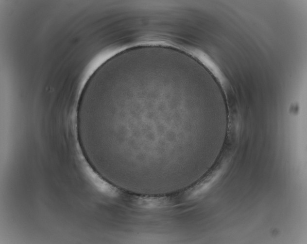 X0000096700951200802051408