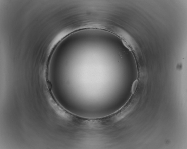 X0000096700952200802051408