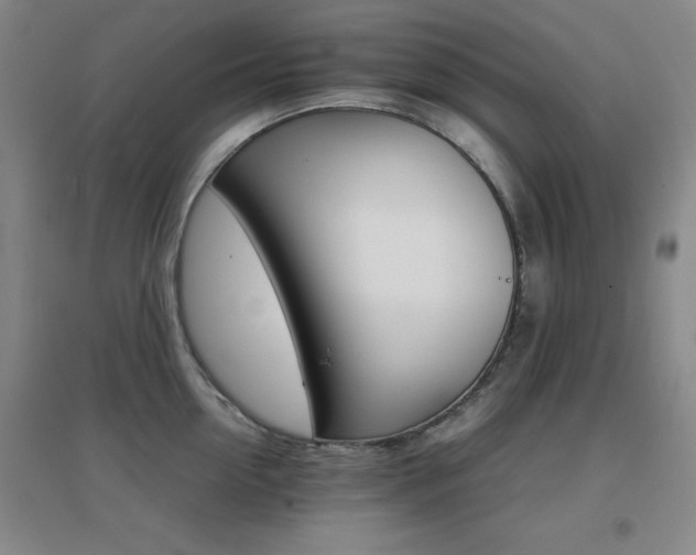 X0000096700954200802051408