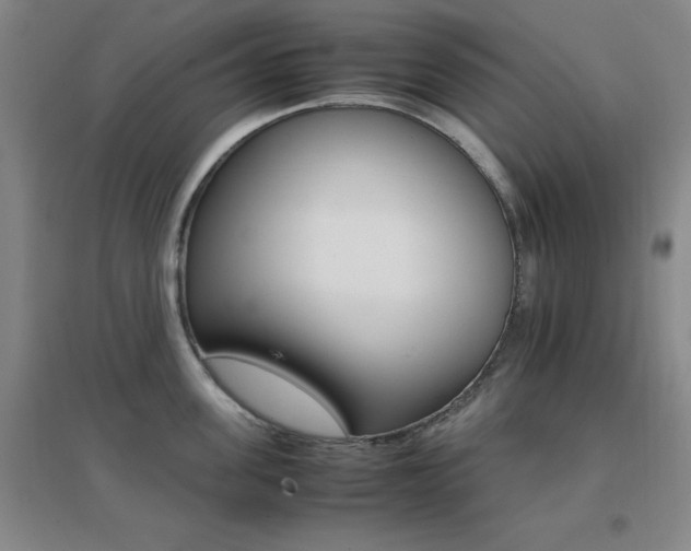 X0000096700955200802051408