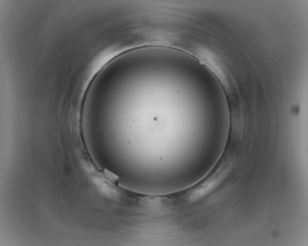 X0000096700956200802051408