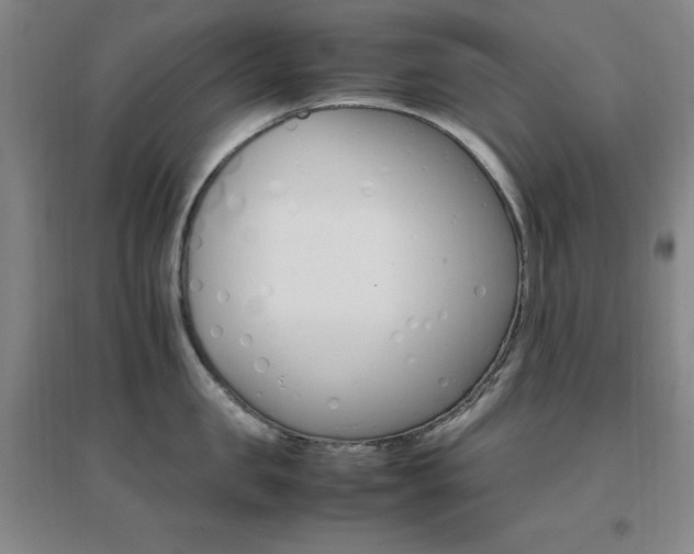 X0000096700957200802051408