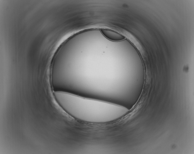 X0000096700958200802051408