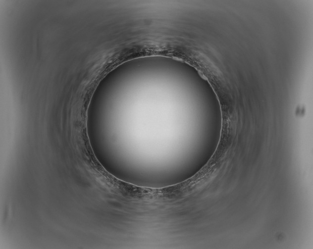 X0000096700961200802051407