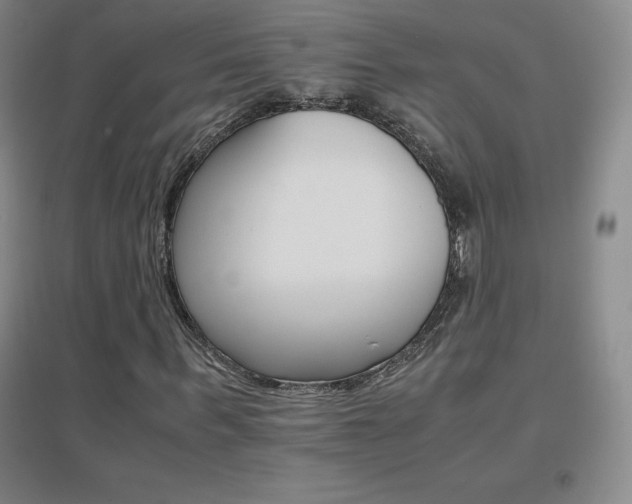 X0000096700963200802051407