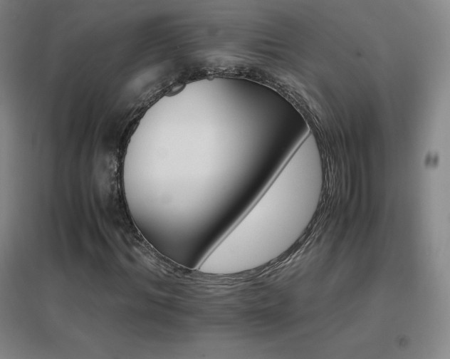 X0000096700964200802051407