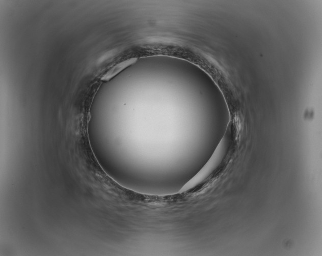 X0000096700965200802051407