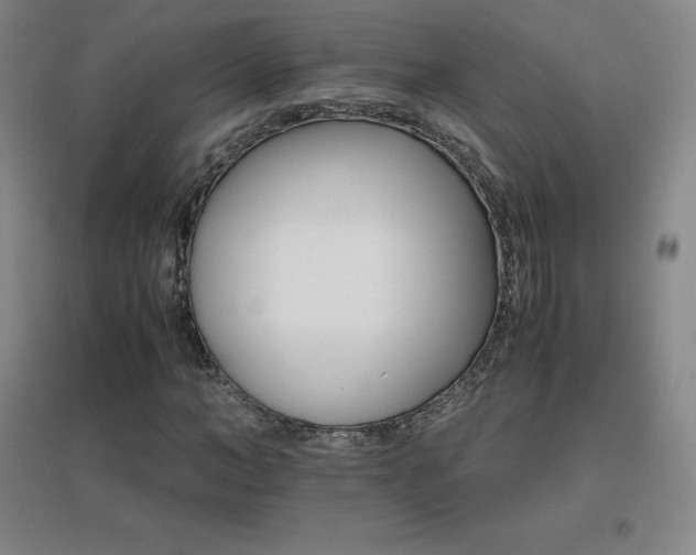 X0000096700966200802051407