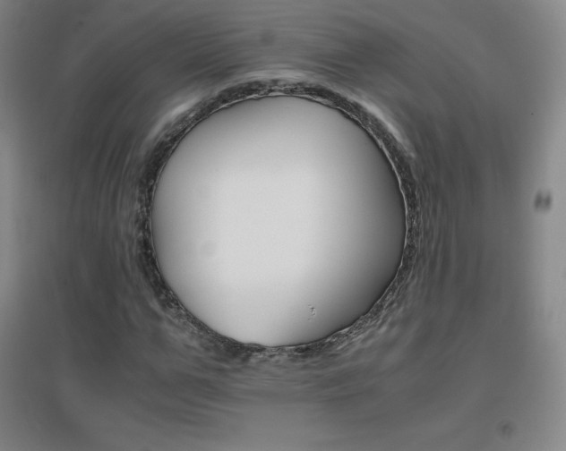X0000096700967200802051407