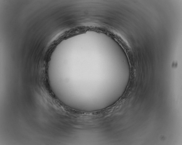 X0000096700968200802051407