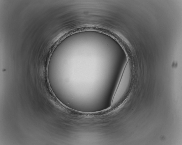 X0000096700969200802051407